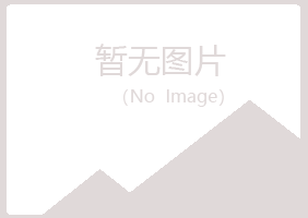 安丘紫山咨询有限公司